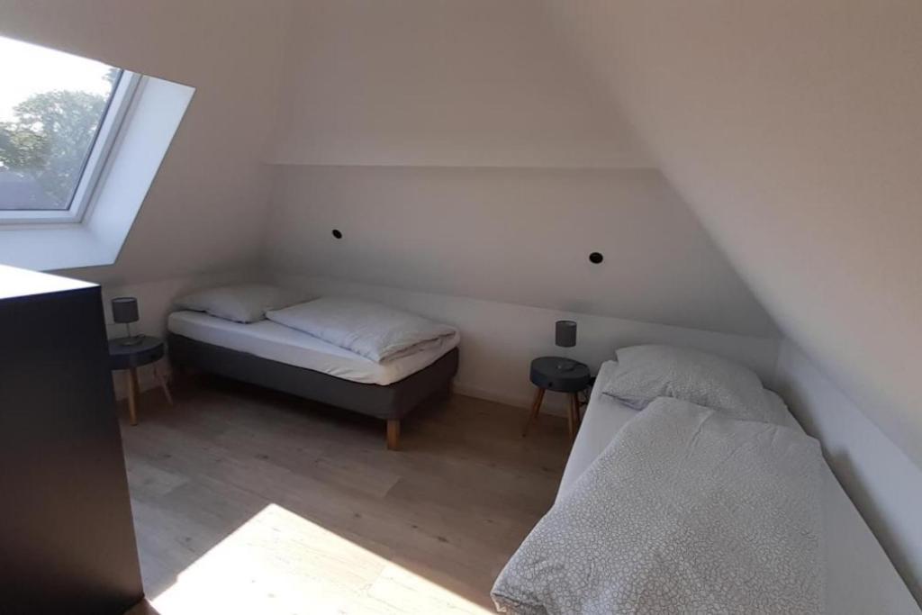 Fh Magnolia Fuer 12 Pers. Mit Terrasse + Dachterasse Born Exterior foto